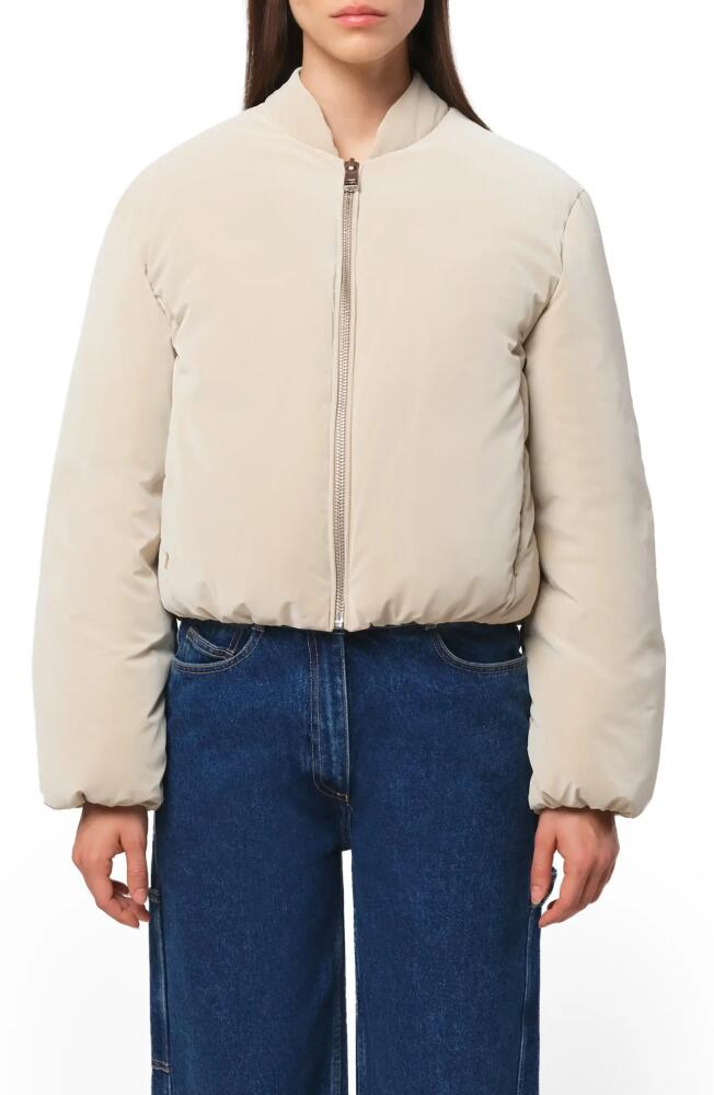 Apparis Leni Padded Bomber Jacket in Latte Cover