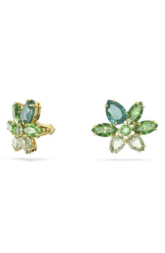 Swarovski Gema Crystal Stud Earrings in Green Cover