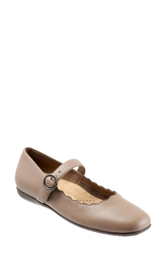 Trotters Sugar Mary Jane Flat in Dark Taupe Cover