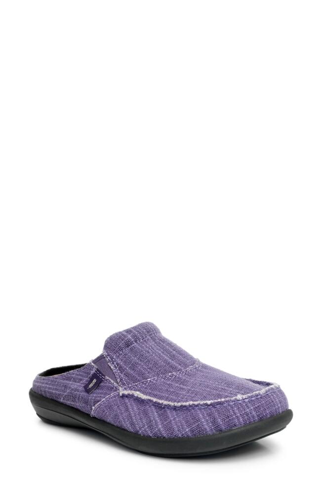 Revitalign Siesta Orthotic Canvas Slip-On Shoe in Plum Cover