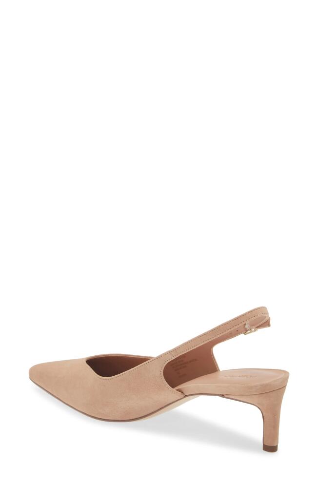 Nordstrom Orleans Slingback Pump in Tan Light Cover