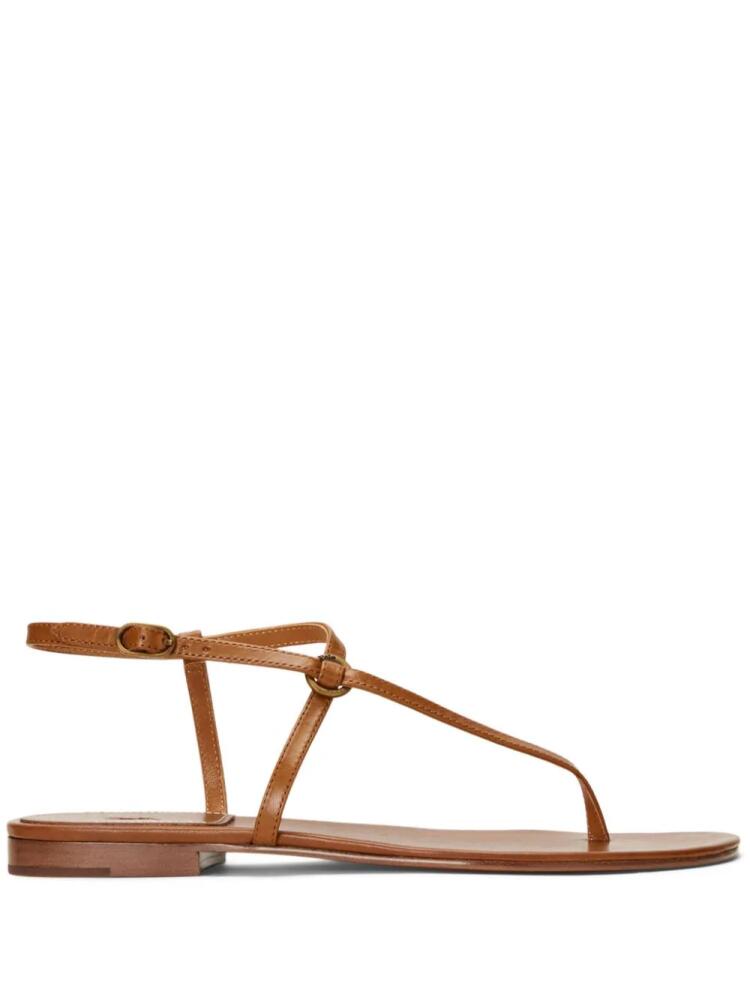 Polo Ralph Lauren buckle-fastened leather sandals - Brown Cover