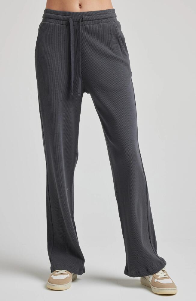 Losano Drawstring Pant in Charcoal Cover