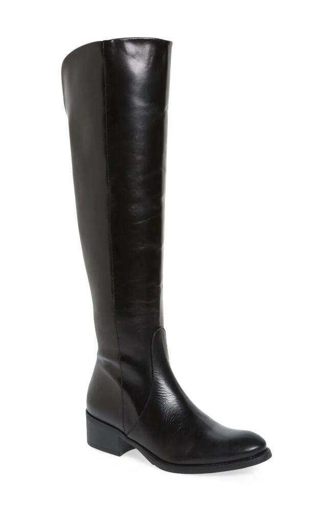 Toni Pons 'Tallin' Over-The-Knee Riding Boot in Black Leather Cover