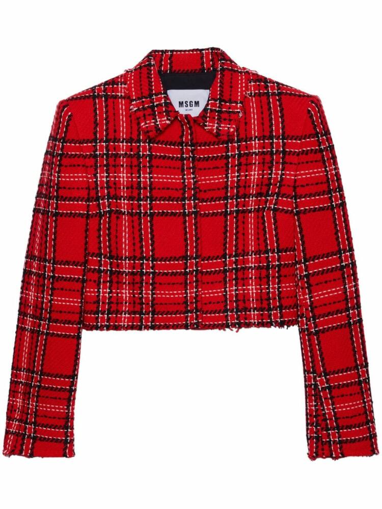 MSGM check tweed jacket - Red Cover