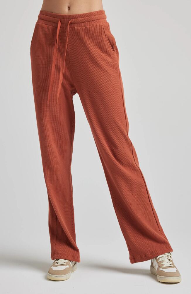 Losano Drawstring Pant in Baked Clay Cover