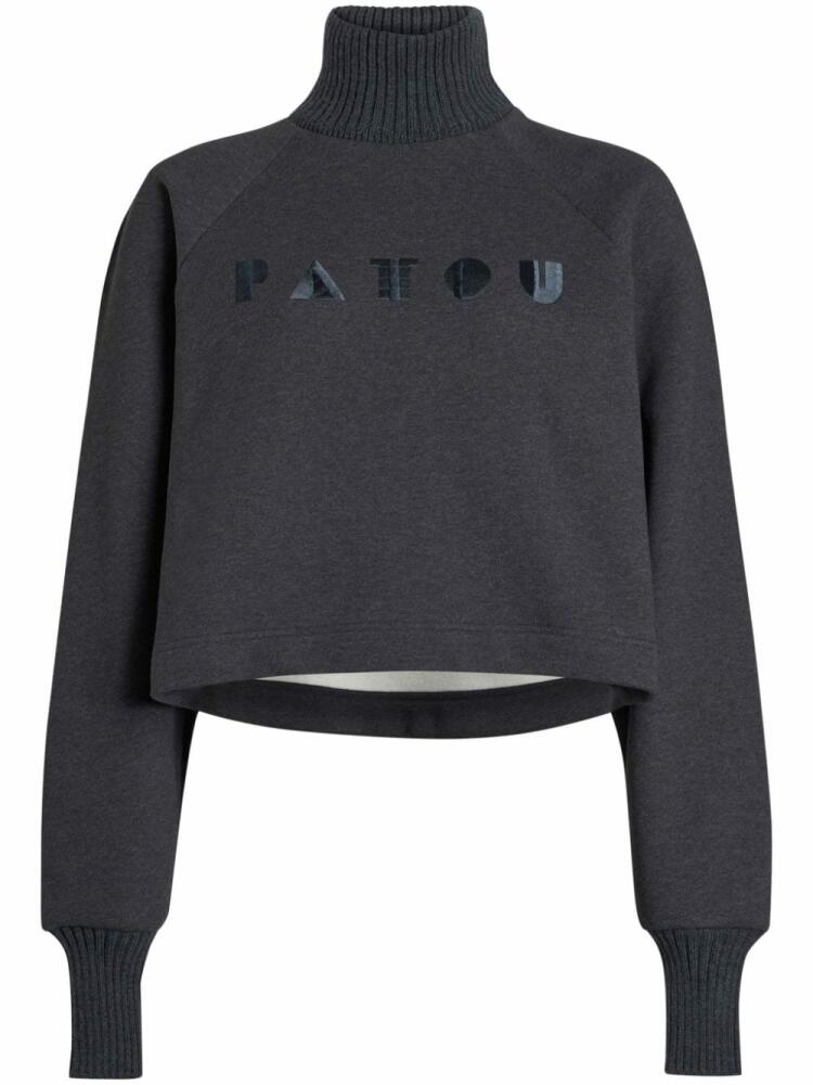 Patou Art Deco sweatshirt - Grey Cover