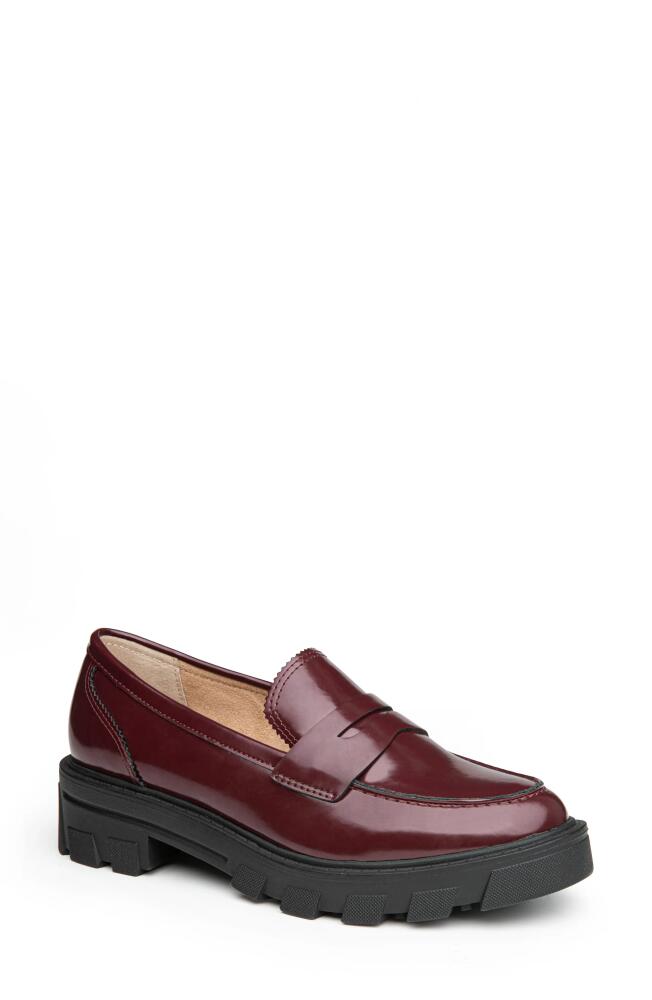 Me Too Laine Penny Loafer in Burgundy Cover