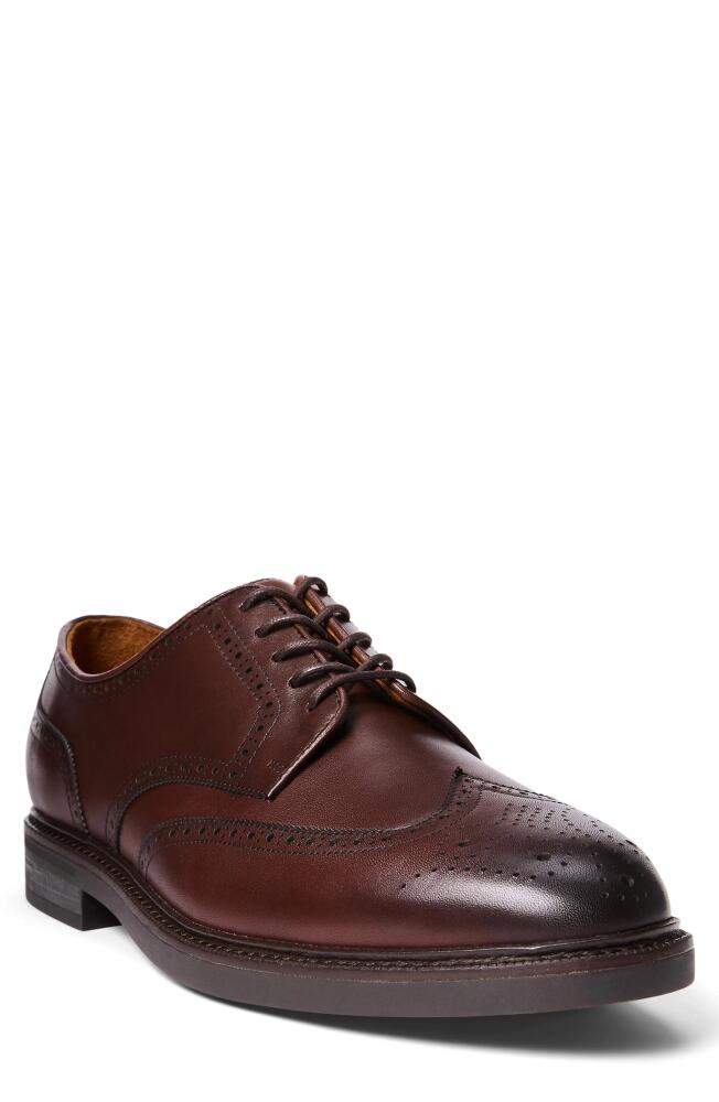 Polo Ralph Lauren Asher Wingtip Oxford in Polo Brown Cover