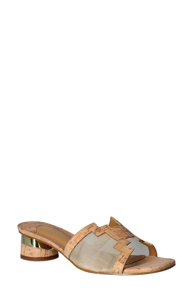 J. Reneé J. Renée Amorra Slide Sandal in Natural/Gold Cover