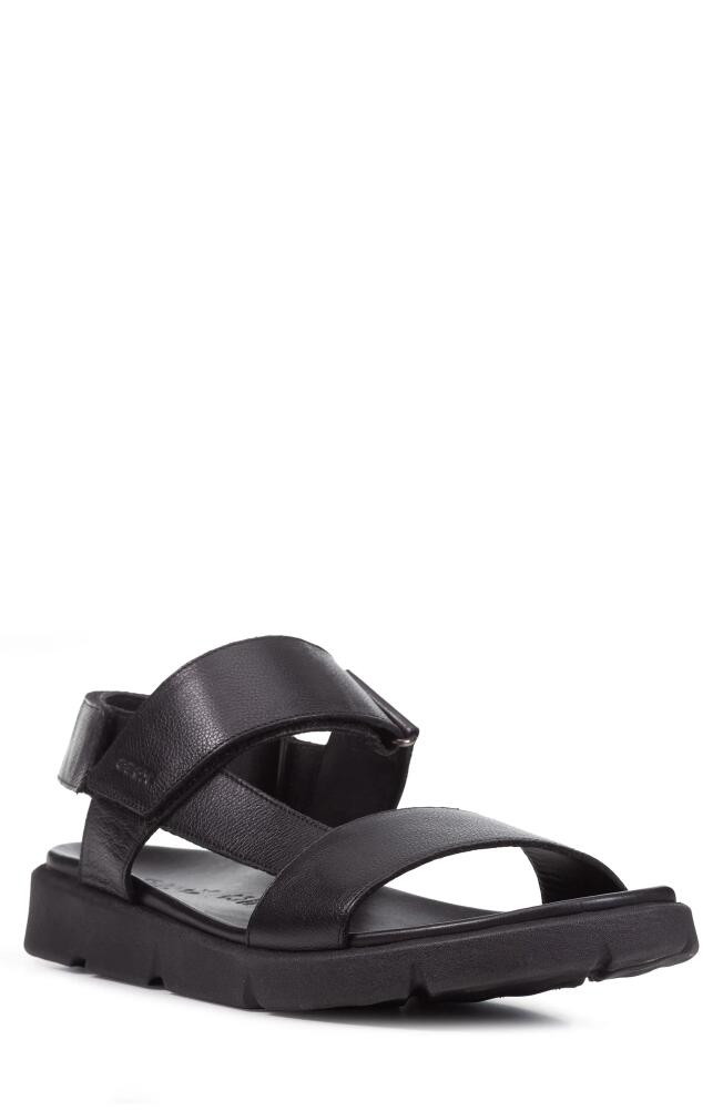 Geox Xand 2s Sandal in Black Cover