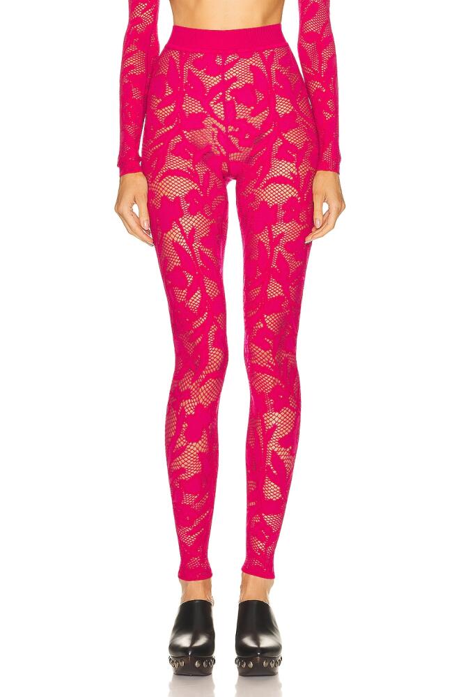 ALAÏA Lace Legging in Fuchsia Cover