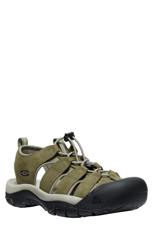 KEEN Newport Hybrid Sandal in Martini Olive/Brindle Cover