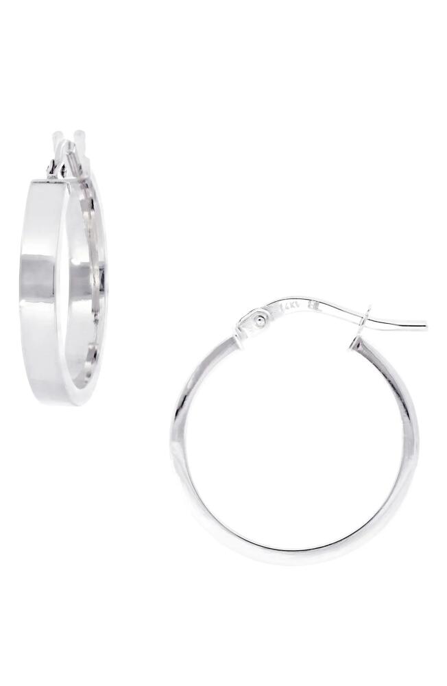 Bony Levy 14K Gold Hoop Earrings in White Gold Cover