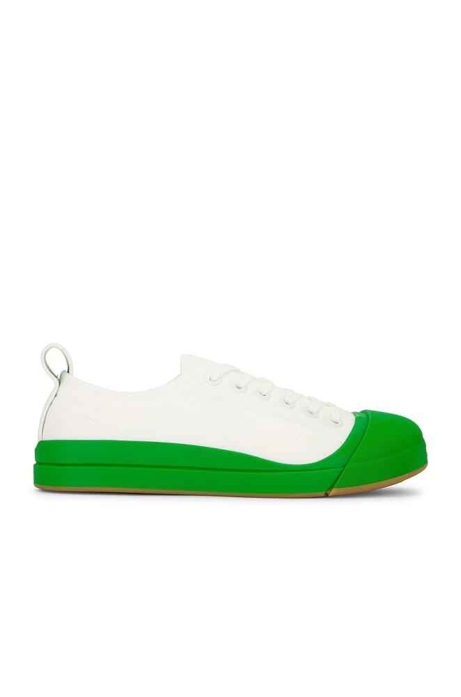 Bottega Veneta Vulcan Low Top Sneaker in White Cover