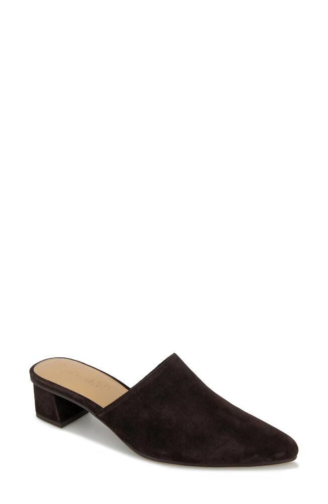 Splendid Lorelei Mule in Dark Chocolate Cover