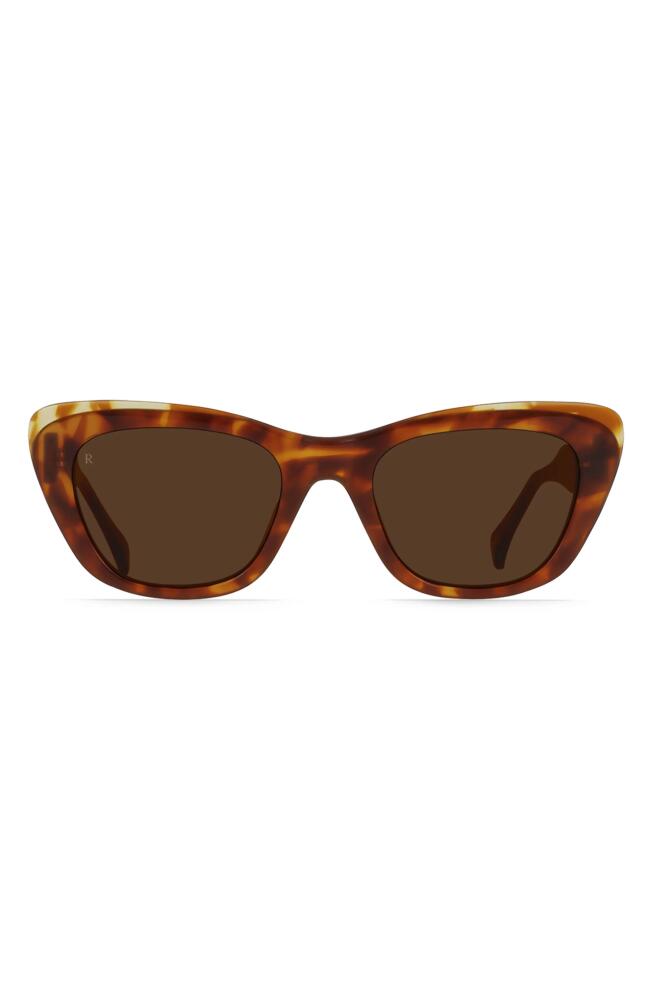 RAEN Kimma 52mm Polarized Cat Eye Sunglasses in Tortoise Cover