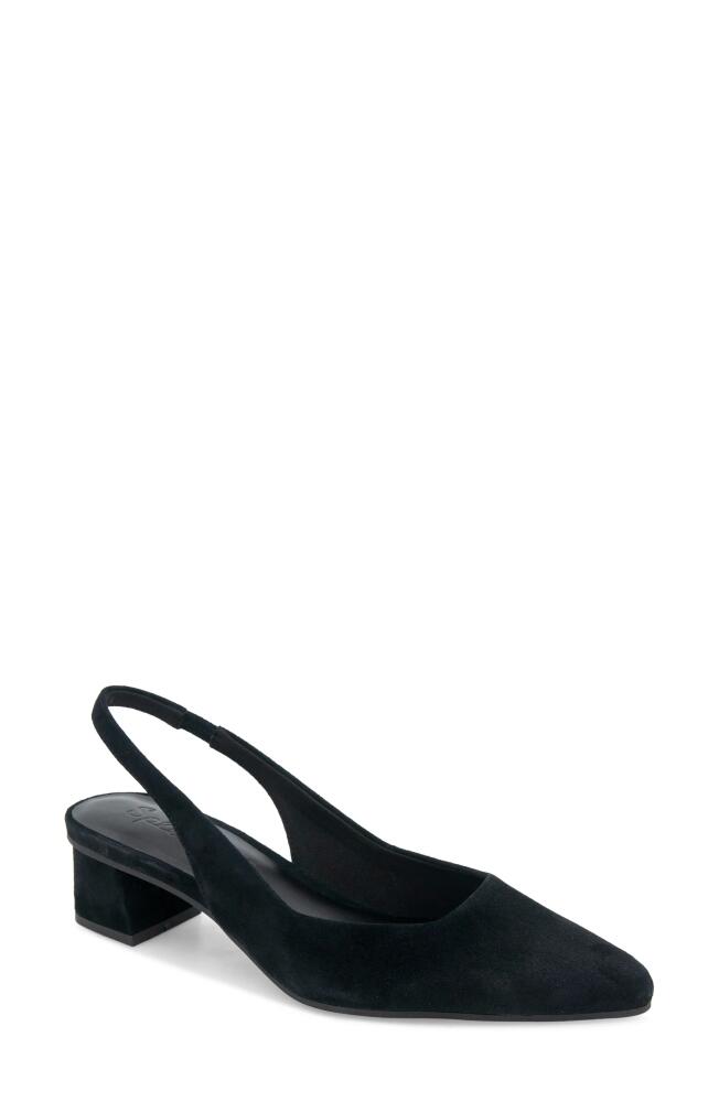 Splendid Luma Slingback Pump in Black Cover