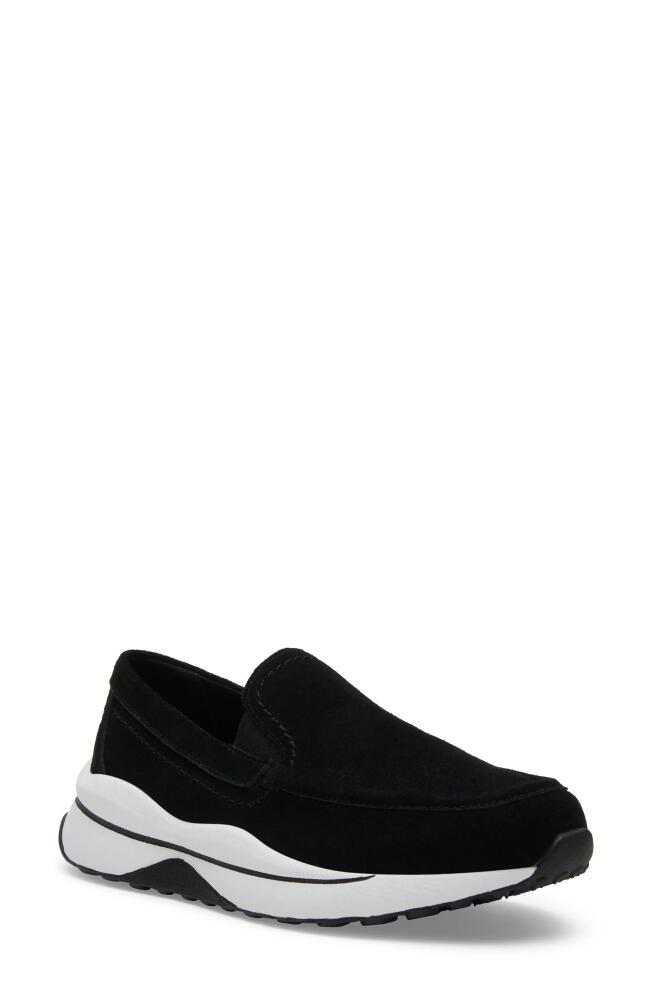 Blondo Manny Waterproof Sneaker in Black Suede Cover