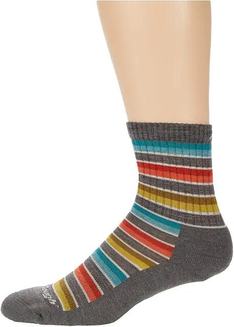 Darn Tough Vermont Decade Stripe Micro Crew Midweight with Cushion (Taupe) Women's Crew Cut Socks Shoes Cover