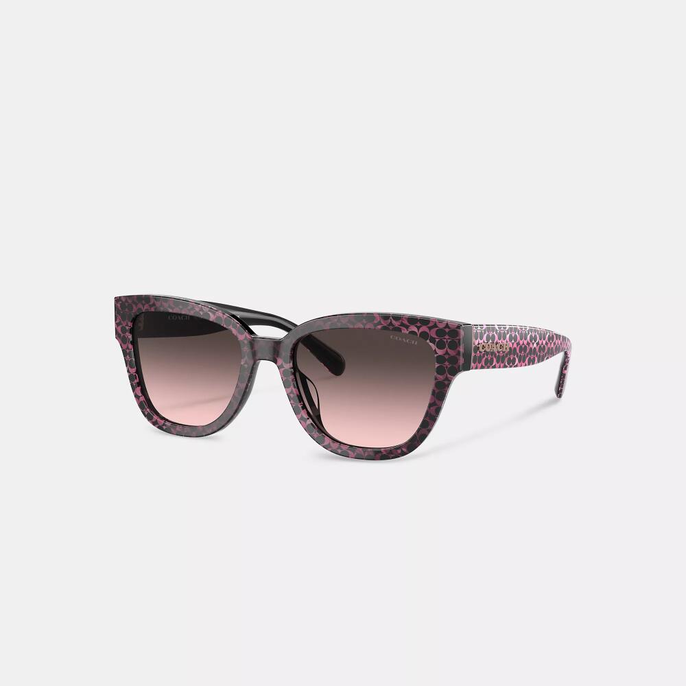 Coach Signature Round Sunglasses Cover