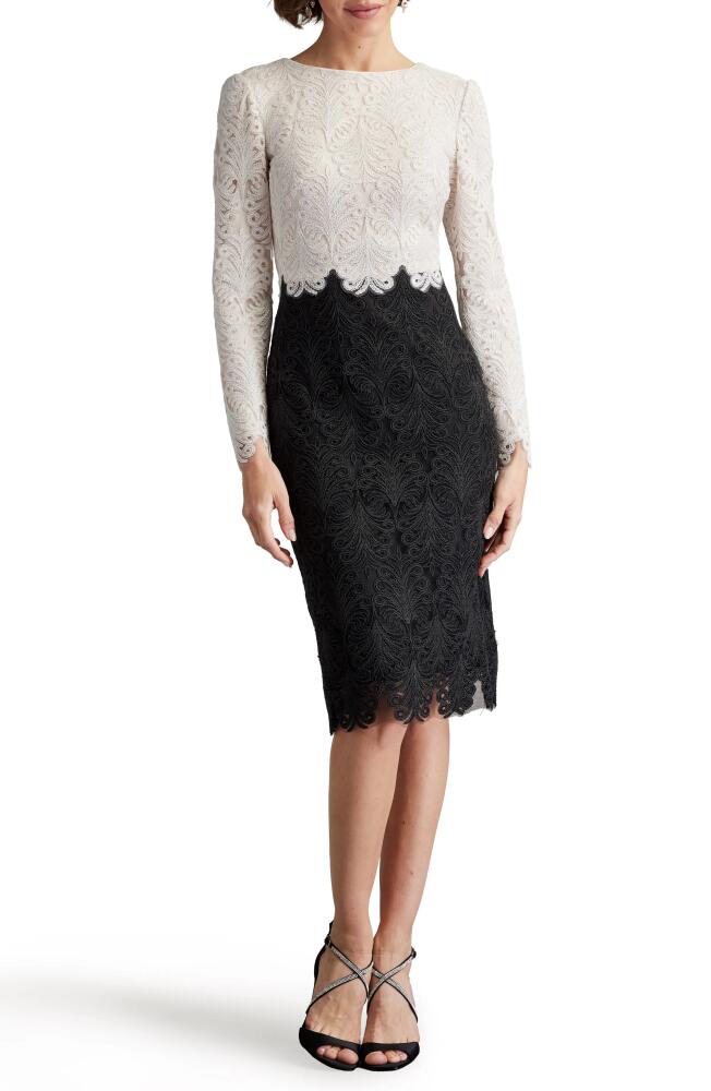 Tadashi Shoji Colorblock Long Sleeve Corded Lace Cocktail Dress in Ivory/Black Cover