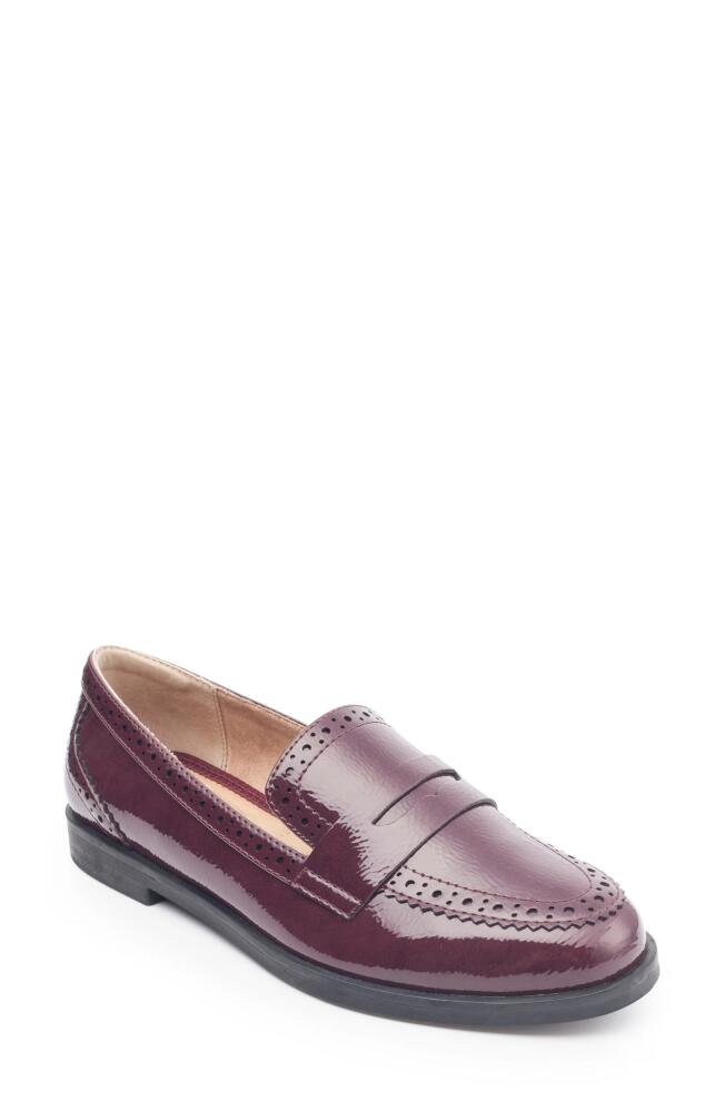 Me Too Breck Penny Loafer in Deep Merlot Cover