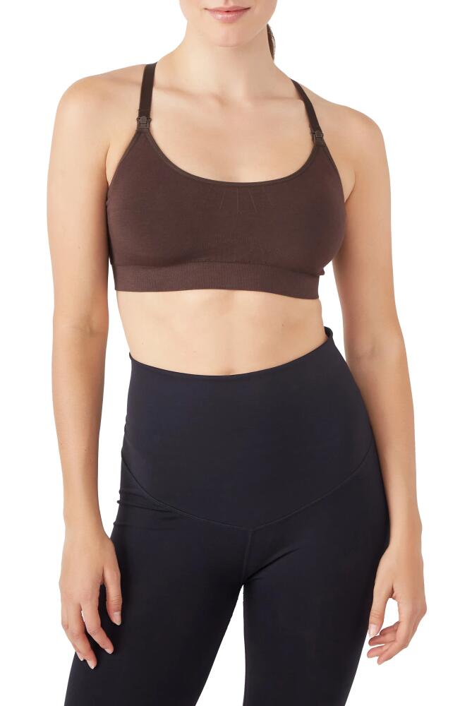 Modern Eternity Seamless Yoga Nursing Bralette in Chocolate Cover