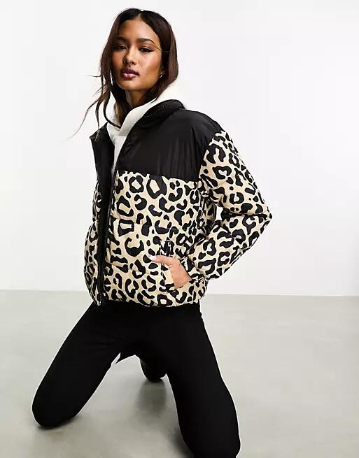 Only colour block padded jacket in leopard & black-Multi Cover