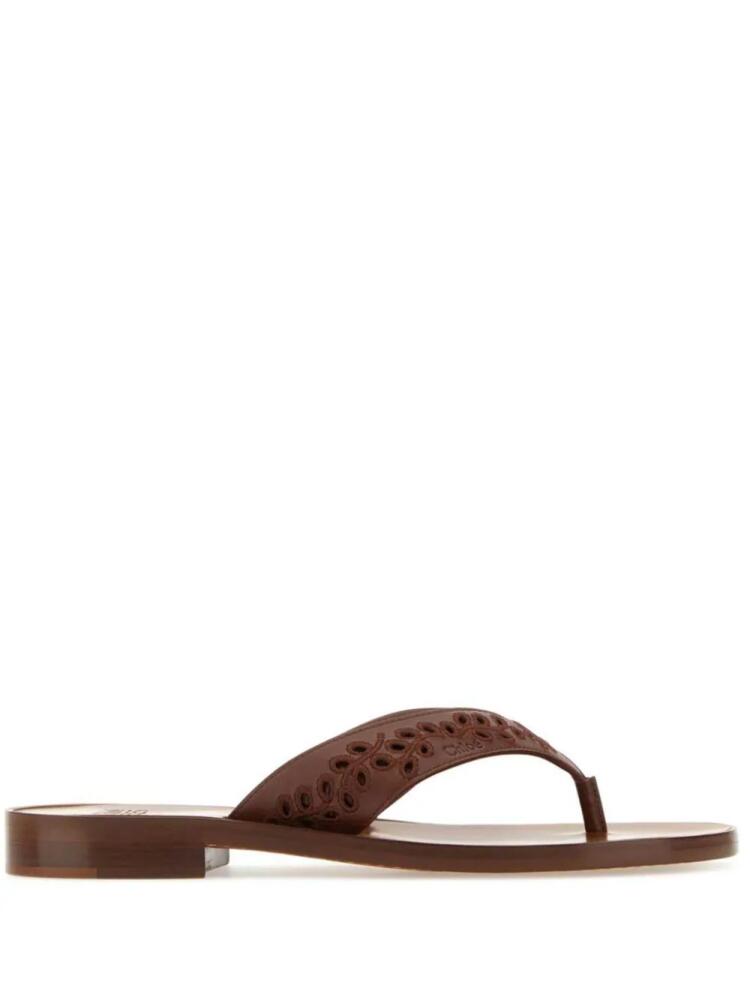 Chloé x Eres leather thong flip flops - Brown Cover