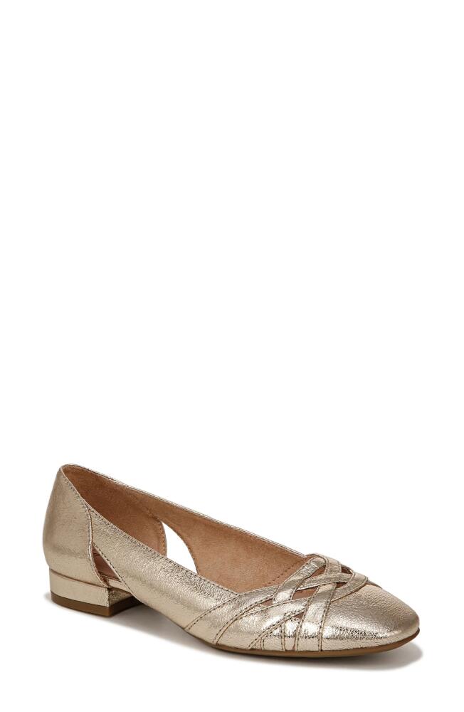 LifeStride Carmen Ballet Flat in Platino Cover