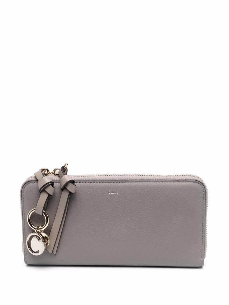 Chloé all around zip wallet - Grey Cover