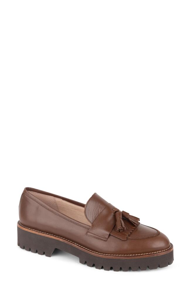 patricia green Beckham Tassel Lug Loafer in Chocolate Cover