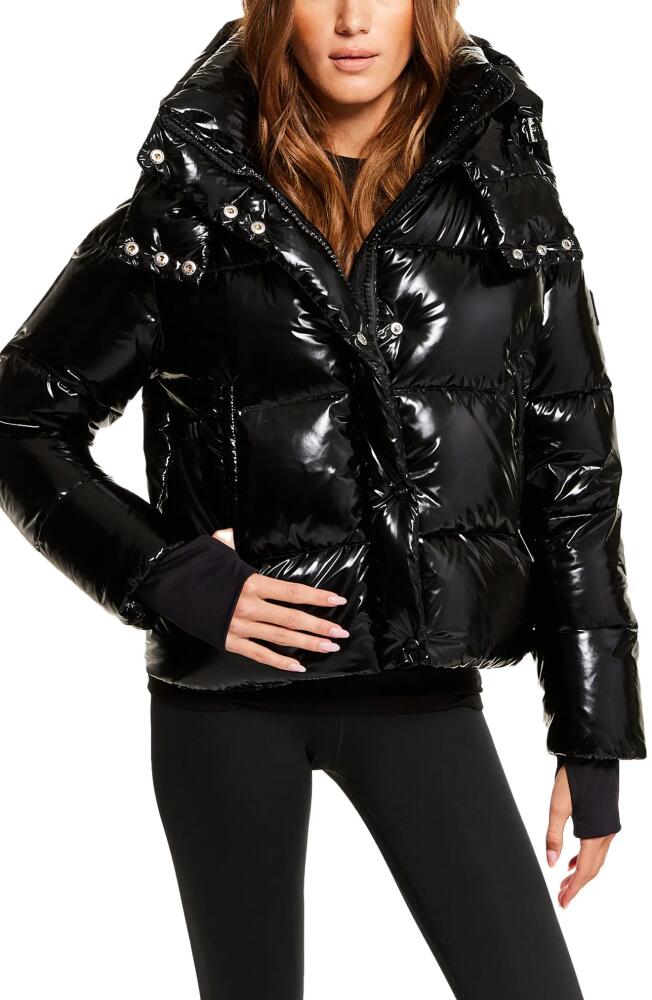 SAM. Jordy Water Resistant Down Puffer Coat in Caviar Cover