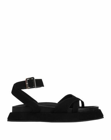 Gia / Rhw Woman Thong sandal Black Leather Cover