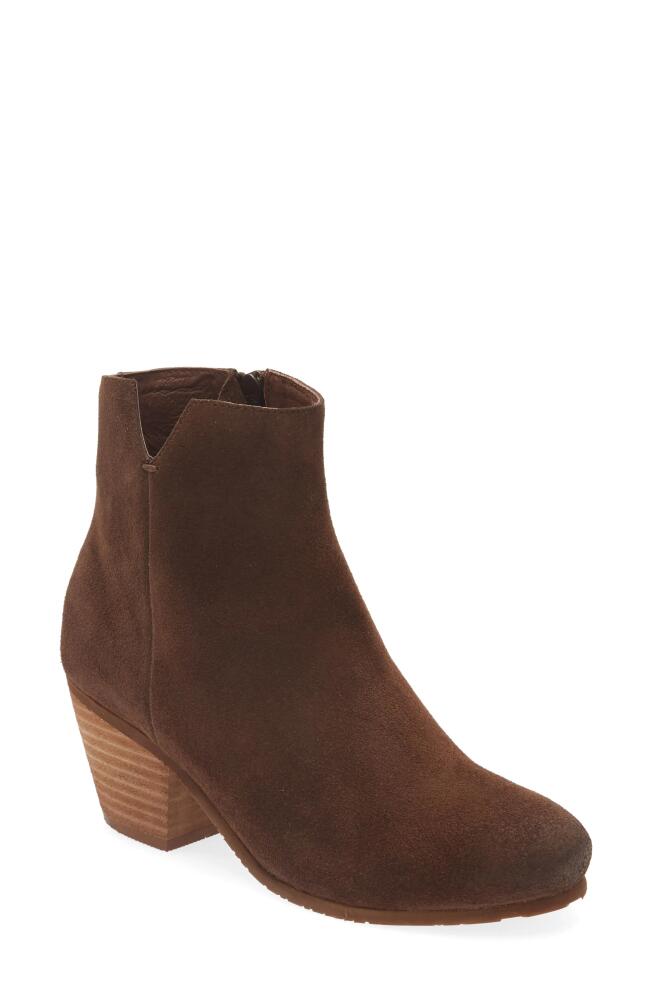 Chocolat Blu Darlene Block Heel Bootie in Chocolate Suede Cover