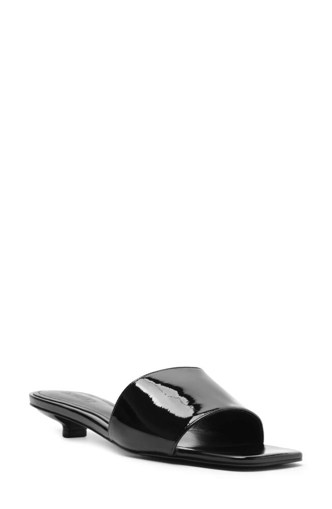 Schutz Avery Kitten Heel Slide Sandal in Black Cover