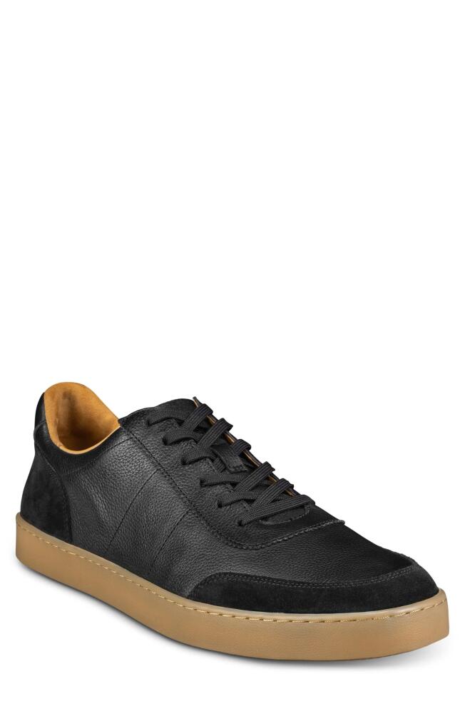 Allen Edmonds Liam Sneaker in Black Cover