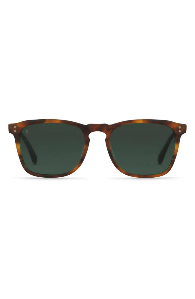 RAEN Wiley Polarized Square Sunglasses in Matte Rootbeer /Brown Cover