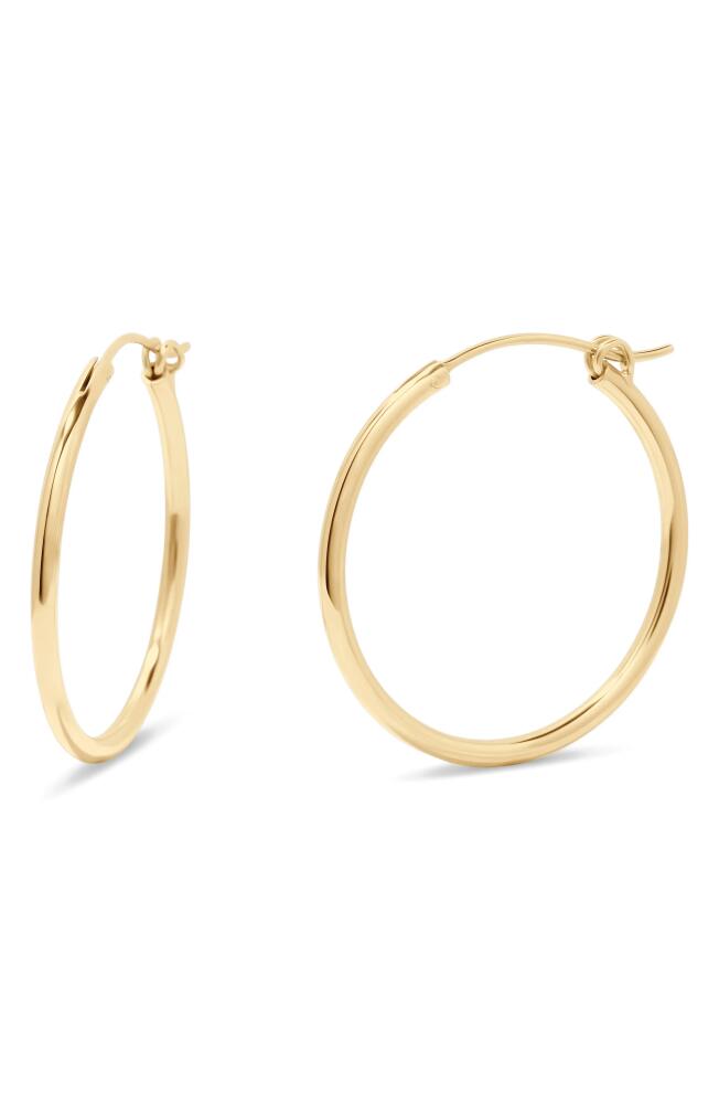 Brook and York Nellie Hoop Earrings in Gold - 29Mm Cover