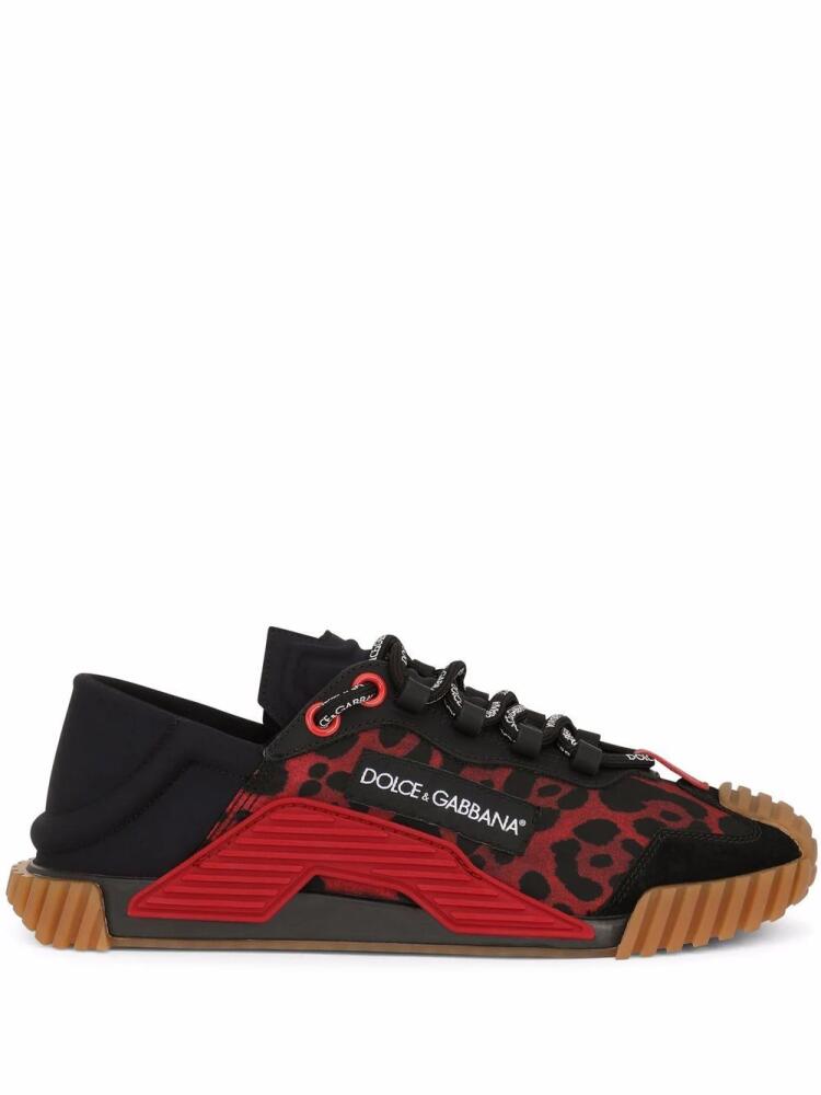 Dolce & Gabbana leopard-print NS1 sneakers - Black Cover