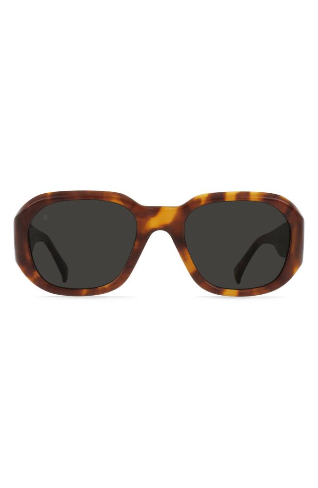 RAEN Zouk Gradient Polarized Square Sunglasses in Oso Tortoise/Monsoon Cover