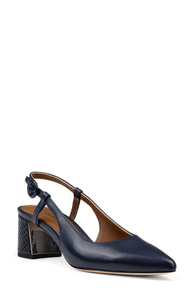 Donald Pliner Song Slingback Pointed Toe Pump in Navy Cover