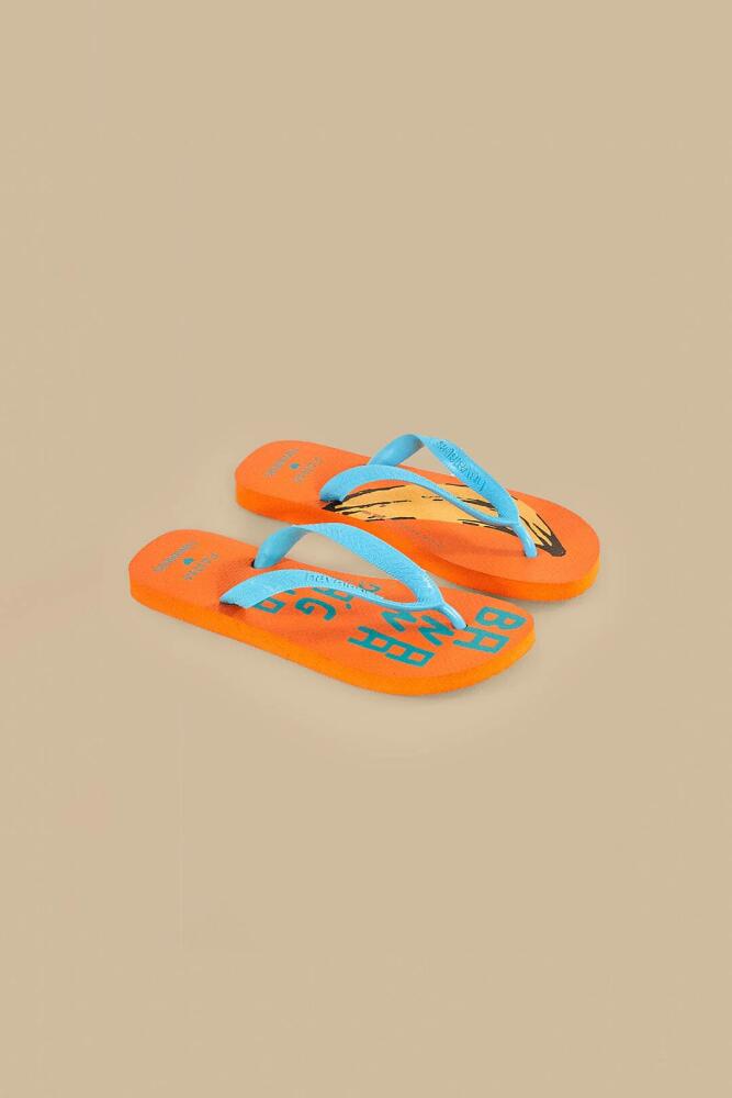 FARM Rio Caramel Banana Dagua Havaianas Sandals Cover