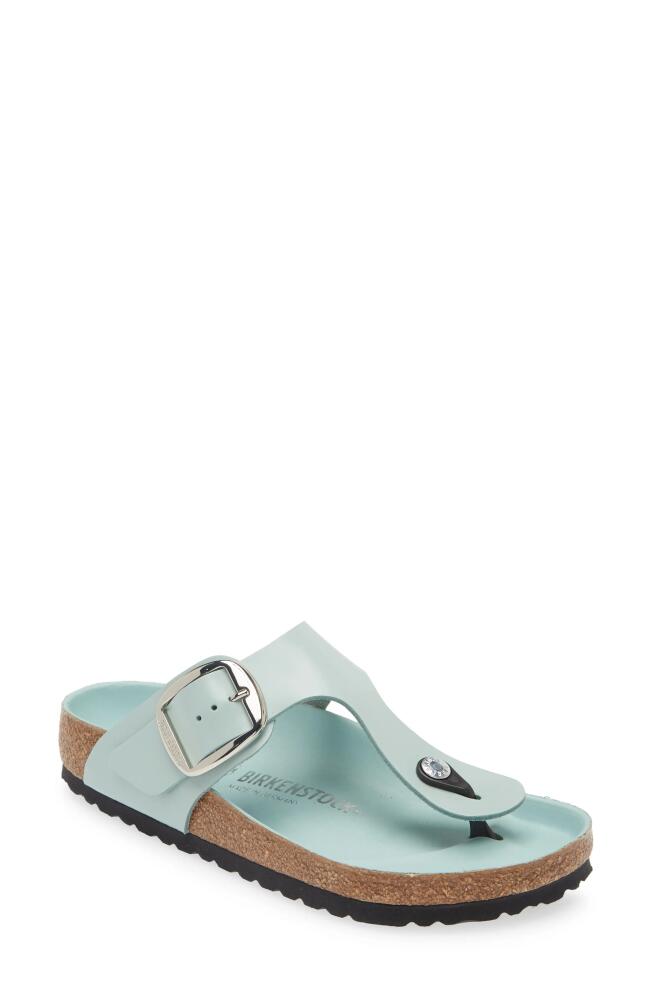 Birkenstock Gizeh Big Buckle Flip Flop in Surf Green Cover