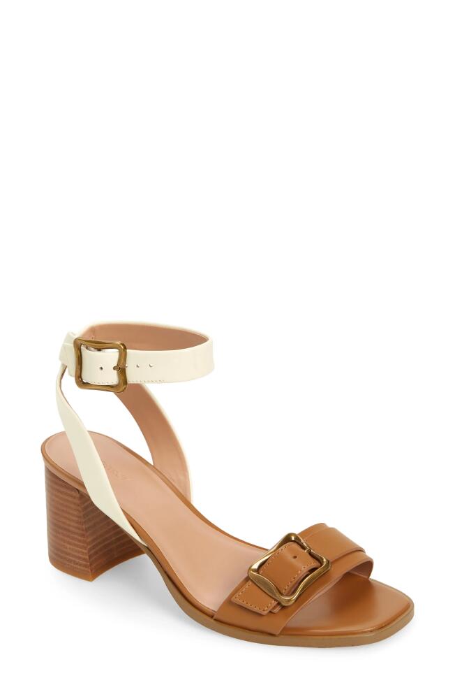 Nordstrom Lancaster Ankle Strap Sandal in Ivory-Tan Toffee Cover