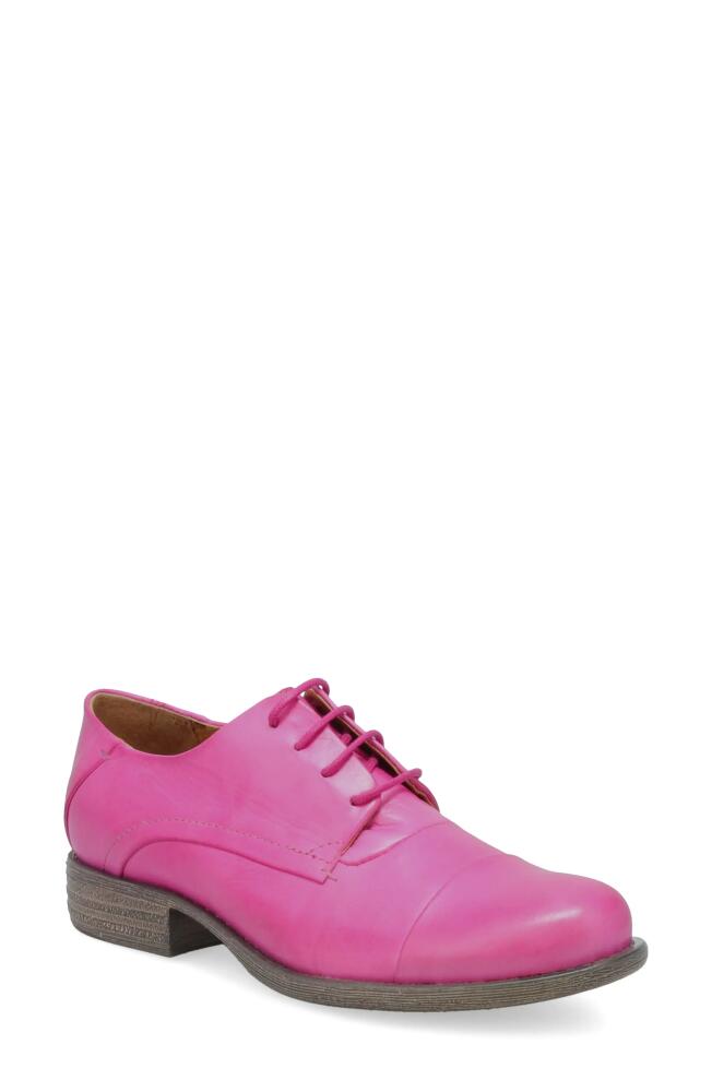 Miz Mooz Letty Oxford Flat in Fuchsia Cover