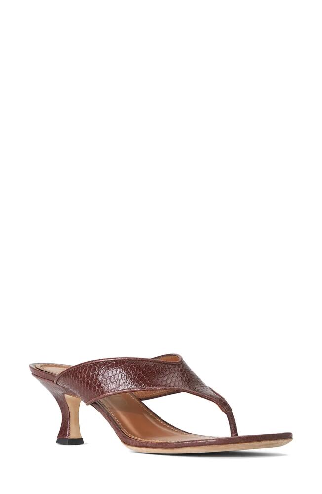 STAUD Natalia Kitten Heel Slide Sandal in Mahogany Cover