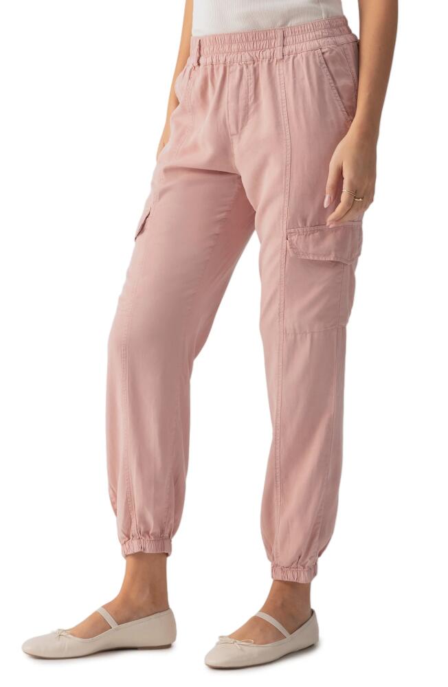 Sanctuary Relaxed Rebel Cargo Joggers in Smokey Rose Cover