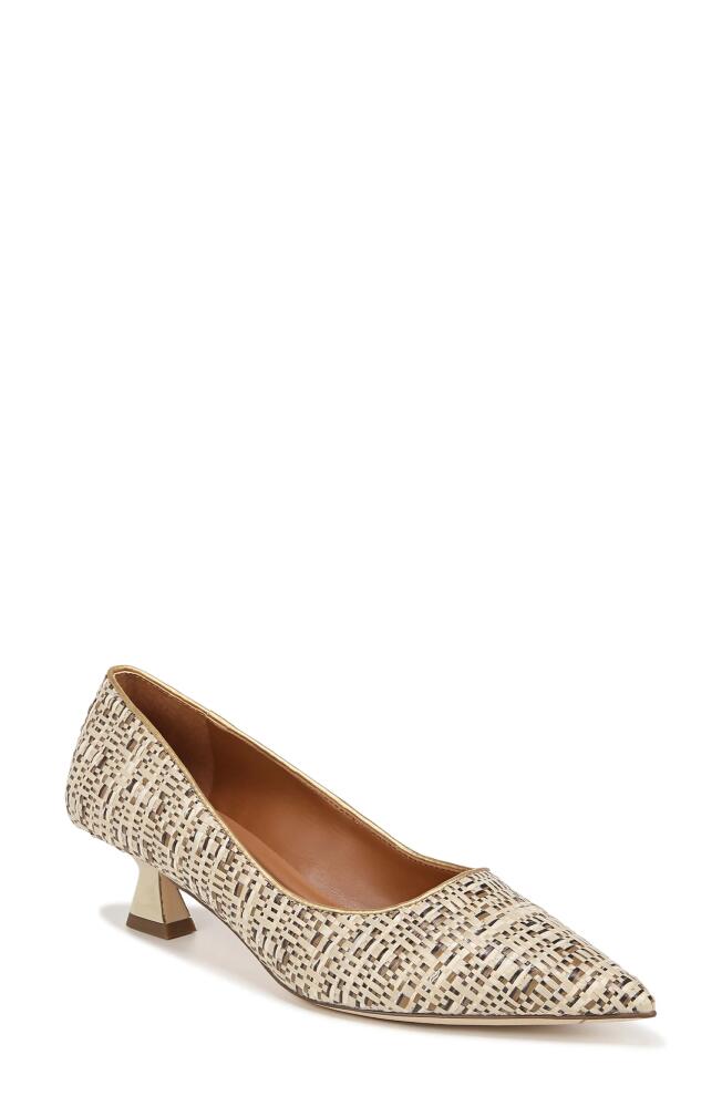 SARTO by Franco Sarto Diva Pointed Toe Kitten Heel Pump in Beige Cover